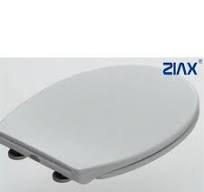 Are wooden toilet lids prone to mold growth? - Blog - Ziax ...