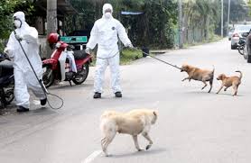 Shah alam, 04 november 2015 (rabu) mesyuarat dimulakan pada jam Sarawak Isytihar 5 Kampung Di Serian Dijangkiti Rabies Mynewshub