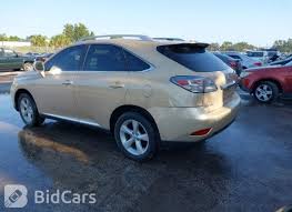 Image result for Golden Almond 2010 RX