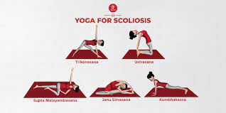 Maybe you would like to learn more about one of these? Top 5 Yoga For Scoliosis And Their Benefits 7pranayama Com