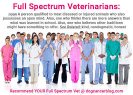 Physical therapy and acupuncture services are offered alongside traditional veterinary clinic and hospital services. Recommendations For Full Spectrum Veterinarians Dog Cancer Blog