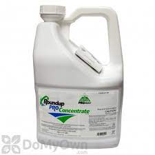Therefore no additional surfactant is needed. Roundup Weed Killer Herbicide Concentrate Roundup Spray Products