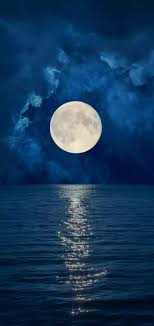  Pin By á¶¦á¶°áµˆ Êœá´€á´˜á´˜Ê á´˜Ê€ÉªÉ´á´„á´‡ On Nature Beautiful Night Sky Beautiful Moon Forest Wallpaper