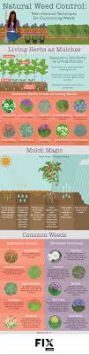 Regular old table salt is very effective at killing weeds. How To Kill Weeds Naturally Fix Com
