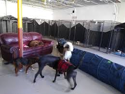 Petco open today until 7pm. Dog Boarding Services In Denver Co Overnight Dog Boarding