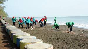 Selain itu pemandangan perkebunan bawang, budidaya rumput laun serta ikan bandeng. Pantai Randusanga Indah Di Brebes Banyak Sampahnya Ini Yang Dilakukan Puluhan Ibu Ibu Gow Tribun Jateng