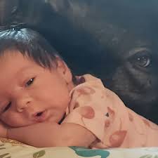 Fundraiser for Jonathan Saia by Janice Willard : Help a First Responder's  Family Through the Unthinkable