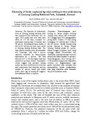 Thesis writing guide for postgraduate programme Pdf Diversity Of Birds Captured By Mist Netting In The Understorey Of Gunung Gading National Park Sarawak Borneo Mohd Azlan J Academia Edu