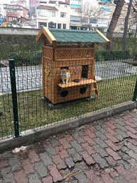 necmettin adli kullanicinin cat house panosundaki pin evler kedi evi kedi