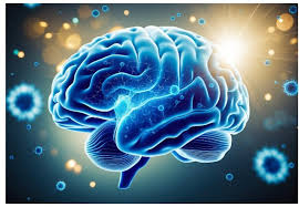 What is Glycine Amino Acid? Benefits, Dosage, and Side Effects – Longevity  Box