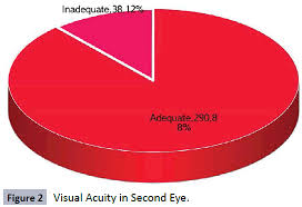 visual function test among commercial drivers in a north