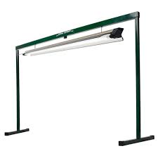 And slow and steady growth is great growth! Jump Start T5 Fluorescent Adjustable Grow Light System