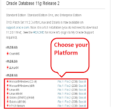 I searched in the inetnet i cannot able to get a single link to download oracle software which will be working in windows 7. Step By Step Installation Of Oracle 11g On Windows 7 64bit