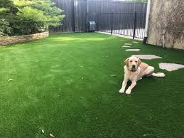 There are so many factors that can come into play which will raise the price of your project (i.e. Synthetic Grass Dfw 214 441 7349 Artificial Turf Grass Installation