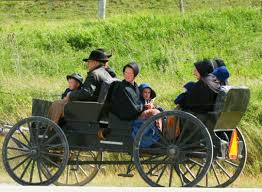 What S The Difference Between Amish And Mennonites Amish Amish Culture Amish Community