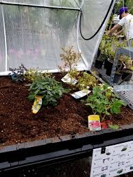 Raised bed wicking garden : Sheridan Nurseries On Twitter Why We Love Vegepod Raised Garden Beds Various Sizes That Make Container Ediblegardening Easy Knitted Mesh To Protect Crops From Uv And Pests Self Watering Technology That