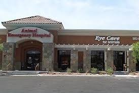 Las Vegas Practice Eye Care For Animals Eye Care For Animals