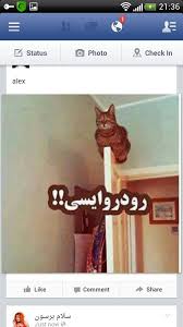 Image result for tbn:Ao0Usy--_pPGEM::www.mekshat.com/pix/upload/images49/mk42658_houssparrow.jpg