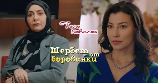 Telenovellas - Утре в "Шербет от боровинки": Бременна; Алев проучва (19 февруари) https://tvnovellas.blogspot.com/2025/02/19_93.html | Facebook