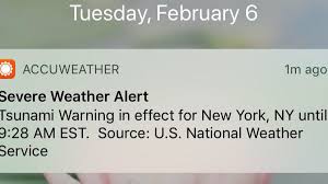 State of hawaii and the u.s. Update Accuweather Shifts Blame For False Tsunami Alert