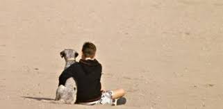 Calcula la edad de tu perro en. 87goiljii1tbcm