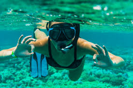 How To Choose The Best Snorkel Gear 2019 Reviews Guide