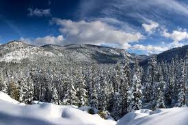 Browse 3,162 lake tahoe snow stock photos and images available, or search for lake tahoe ski or skiing to find more great stock photos and pictures. Weather Lake Tahoe It S Snowing Here S What You Re Missing Curbed Sf