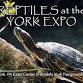 Reptiles At The York Expo Center event image