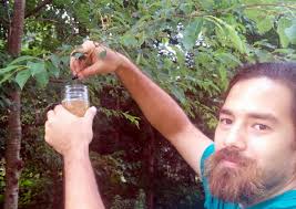 Sourwood Brewing Company‎