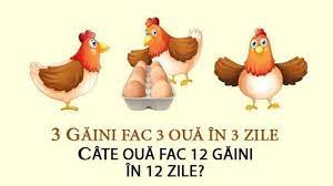 De fiecare data cand o gaina face un ou, aceasta pierde 6 grame de proteine, 7 grame de calciu, 70 de calorii si o multitudine de vitamine si minerale esentiale. Problema De Clasa I A Care DÄƒ BÄƒtÄƒi De Cap Cate OuÄƒ Fac 12 GÄƒini In 12 Zile