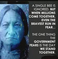 Calvin Creech (creechcalvin16)