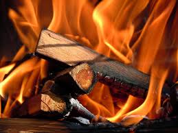 Hardwoods like maple, oak, birch are and along with all fruit trees wood are considered best for burning and they really don't create much mess. How To Choose The Best Firewood For Burning Quadra Fire Blog