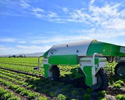 Image of Automated weeding robot