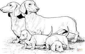 Dachshund With Puppies Coloring Page Free Printable Coloring Pages Dog Coloring Page Puppy Coloring Pages Dog Coloring Book