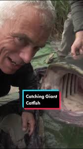 Catching Giant Catfish in the Wild