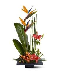 Maybe you would like to learn more about one of these? Carousel Florist In Melbourne Fl Flowers In Melbourne Florida