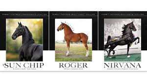How many of you yesterdays said, what the world? Who is the Eagles' 3rd  string quarterback? Well, now you know! Hoooooold it! It surely did feel  good to get big win against