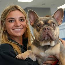 Who let the dogs out? 🐶 This might be the cutest senior prank ever!  #Classof2024 #epicseniorprank
