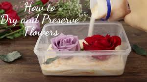 Forever flower bouquet preservation, flower preservation atlanta ga, we specialize in wedding flower preservation so the memory of your special day can last forever. How To Dry And Preserve Flowers Diy Dried Flower In Resin Art Youtube
