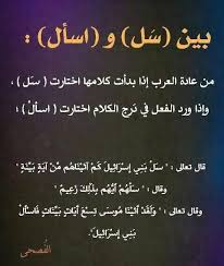 22491694 293788897772805 5727730230969046106 N Jpg 480 569 Quran Quotes Inspirational Arabic Language Beautiful Arabic Words