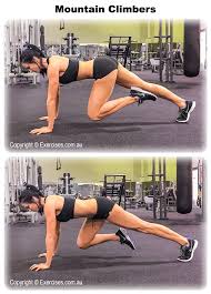 Mountain Climbers Is A Challenging Exercise That Effectively Targets The Abdominal Area Partic Transverse Abdominal Exercises Abs Workout Bodybuilding Workouts