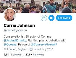 At the beginning of the year, i had a miscarriage which left. She Really Is Mrs Johnson Now Pm S New Wife Changes Her Social Media Handles Newsfinale