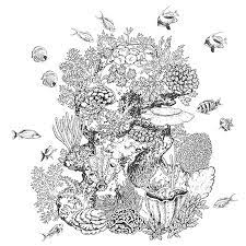 Elements Naturels Sous Marins Dessines A La Main Bordure Horizontale Des Recifs Coralliens Forme Transparente Et Transparente Faite Avec Des Coraux Et Des Poissons De Natation Texture Du Fond Sous Marin Clip Art Libres