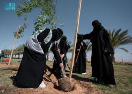 عام / 300 ألف شجرة تعزز استدامة البيئة وجودة الحياة في منطقة الجوف