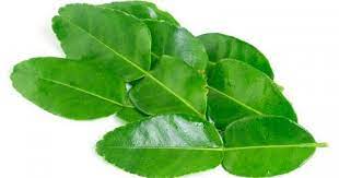Beberapa masakan yang menggunakan daun salam seperti sayur, ikan, danging dan bisa juga. 5 Jenis Daun Untuk Membuat Masakan Menjadi Lezat Popmama Com