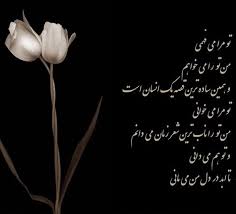 [تصویر:  images?q=tbn:ANd9GcTFznTmzkZtjo5p-SiAK06...ZllS4LI4CC]