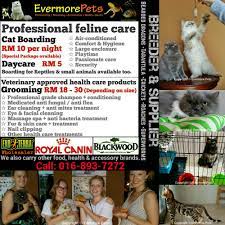 See more of jj pet shop kuching on facebook. Cat Boarding Grooming Kuching Evermore Pets