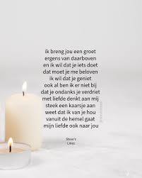 Afbeeldingsresultaat voor dineke van es verwoeste steden