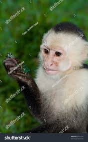 Photo & Image Portfolio by Pablo Jacinto Yoder