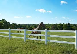 For pet containment we can attach a wire mesh that blends in so as to not take away from the rustic design. Split Rail Fences Landscaping Network